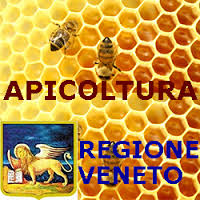 Aiuti apicoltura Veneto